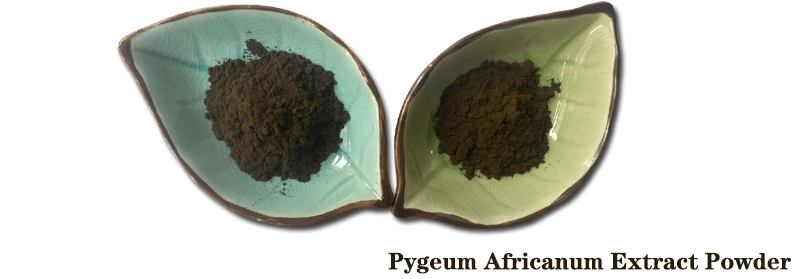 Pygeum Africanum.jpg